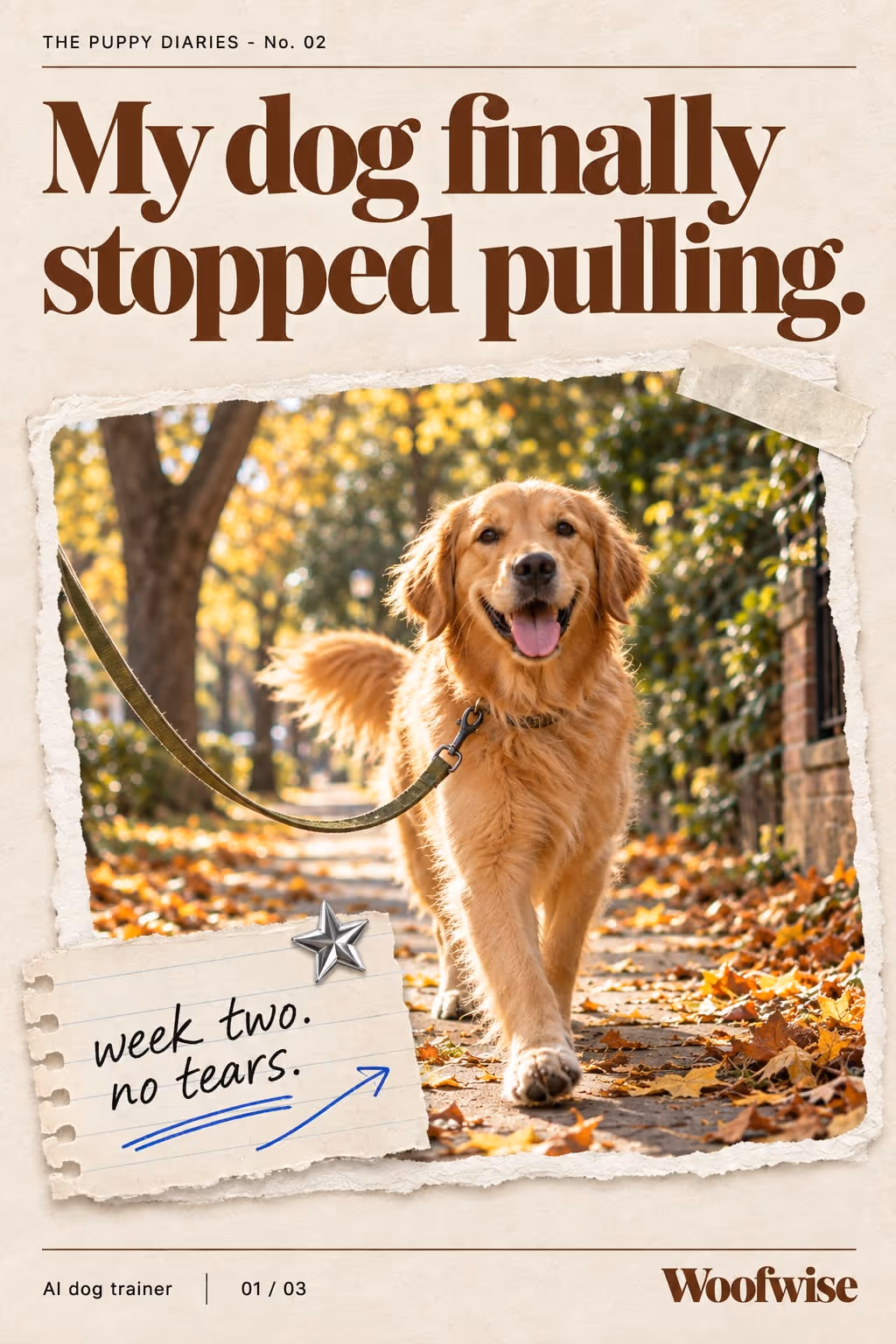 Woofwise example slideshow (AI dog trainer), slide 1 of 3: Cover: “My dog finally stopped pulling.” over a golden retriever on a walk