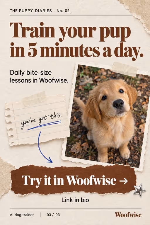 Woofwise example slideshow (AI dog trainer), slide 3 of 3: “Train your pup in 5 minutes a day.” ending on a Try it in Woofwise button